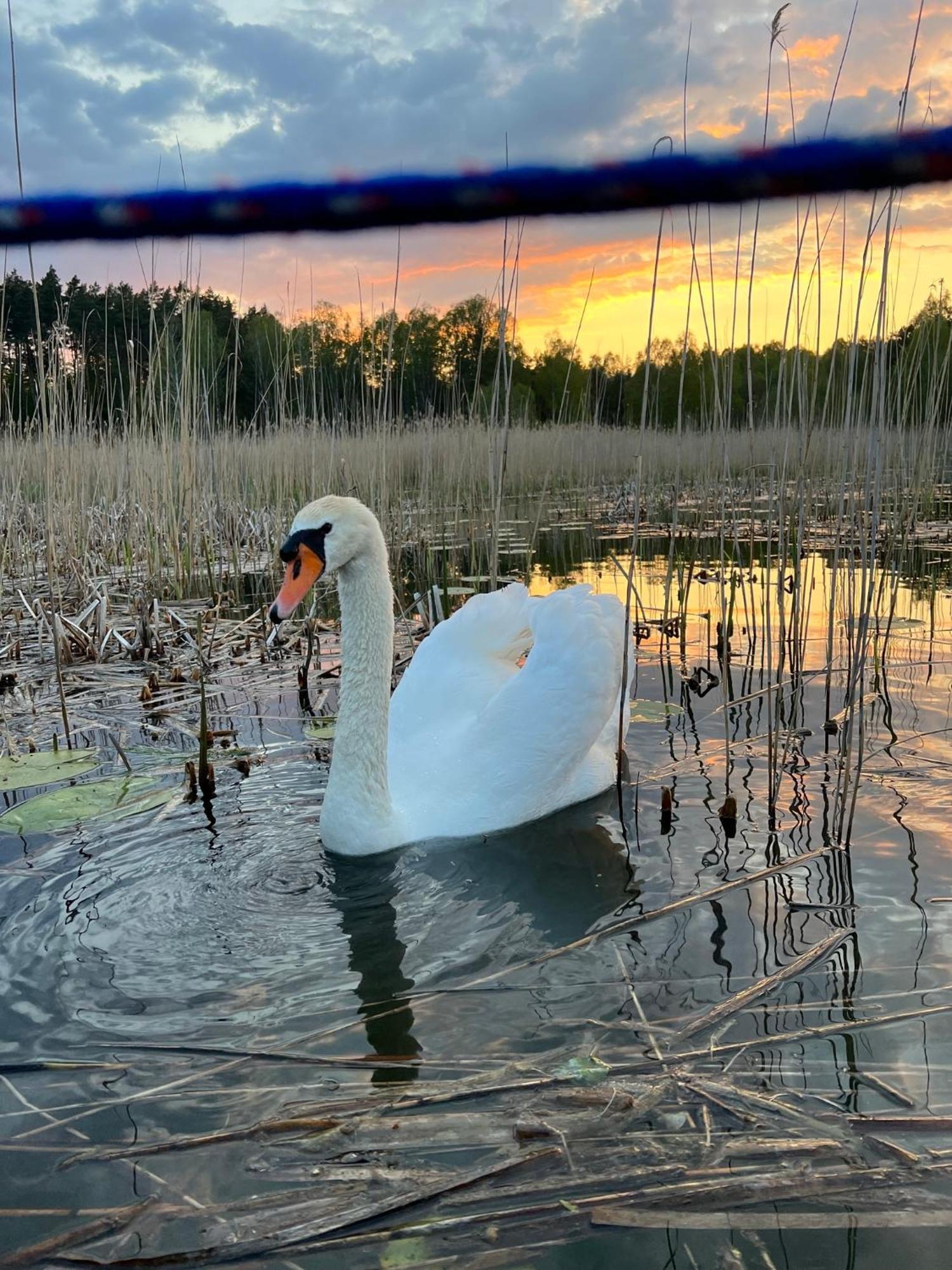 Dom Natura Villa Zdbice Dış mekan fotoğraf