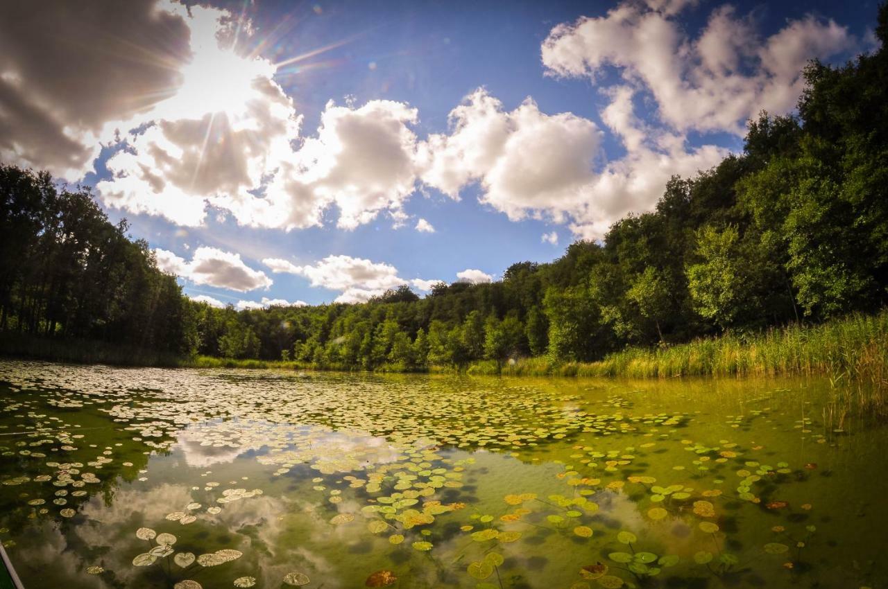 Dom Natura Villa Zdbice Dış mekan fotoğraf