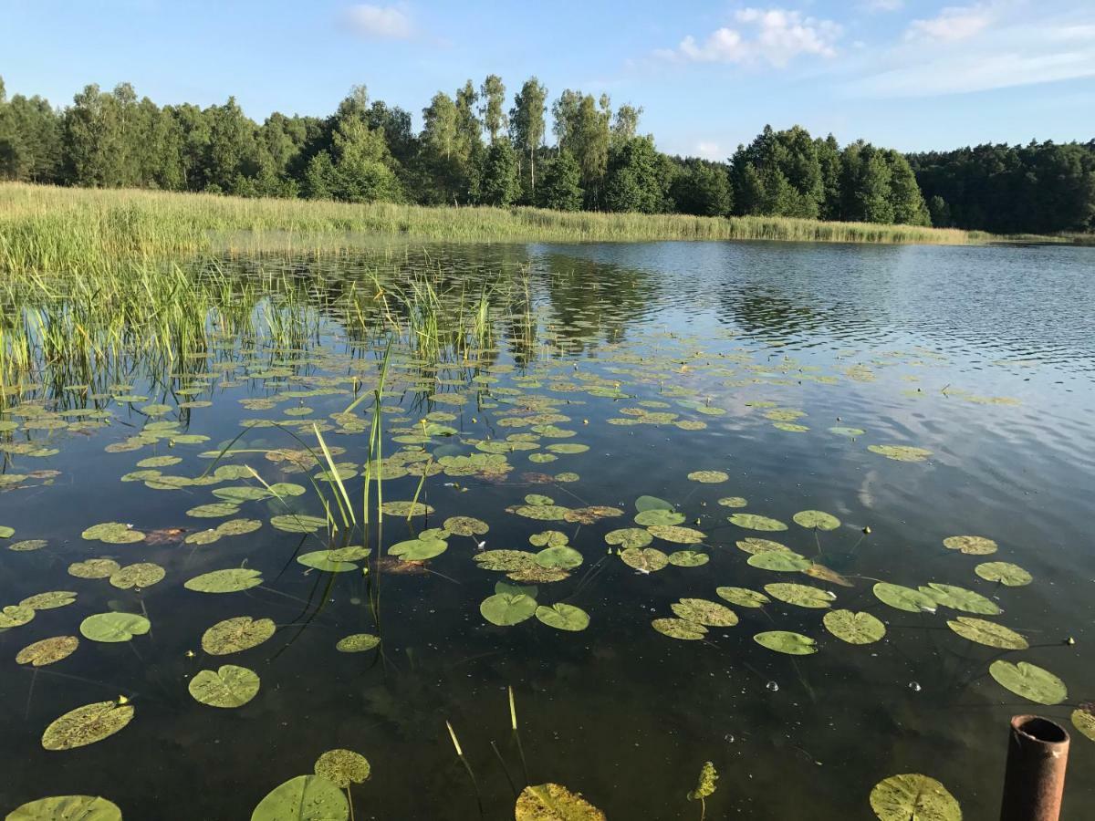 Dom Natura Villa Zdbice Dış mekan fotoğraf